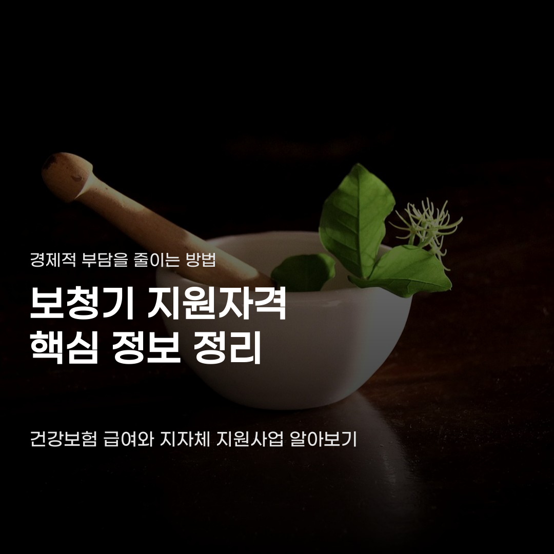 보청기 지원자격 조건 및 지원금 신청 절차
